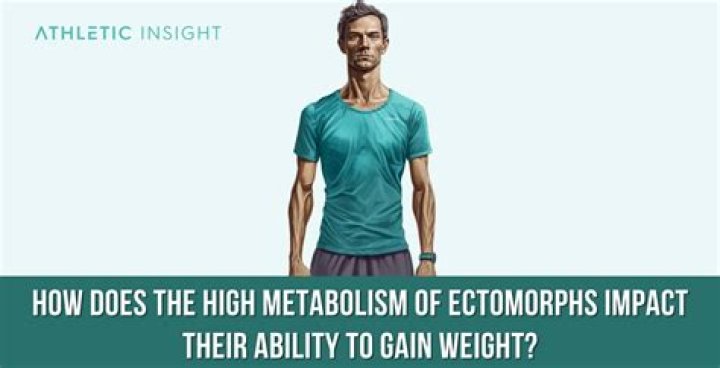 In psychology what is ectomorph?
