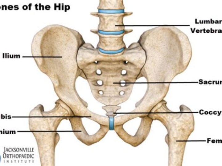 In the hip bone?