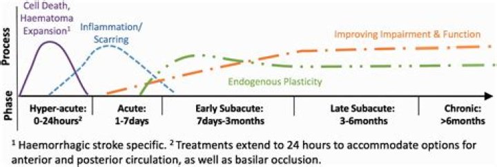 In the subacute phase?