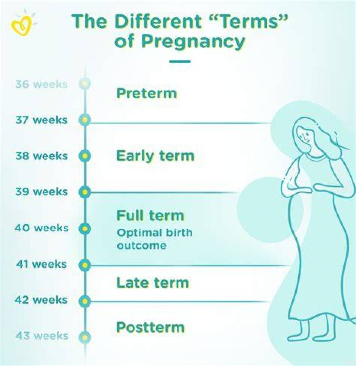 Is 38 weeks full term?