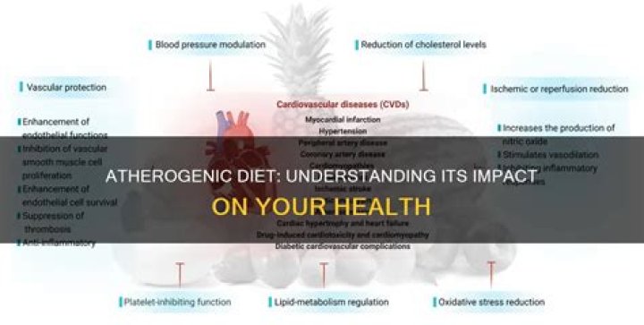 Is an atherogenic diet?