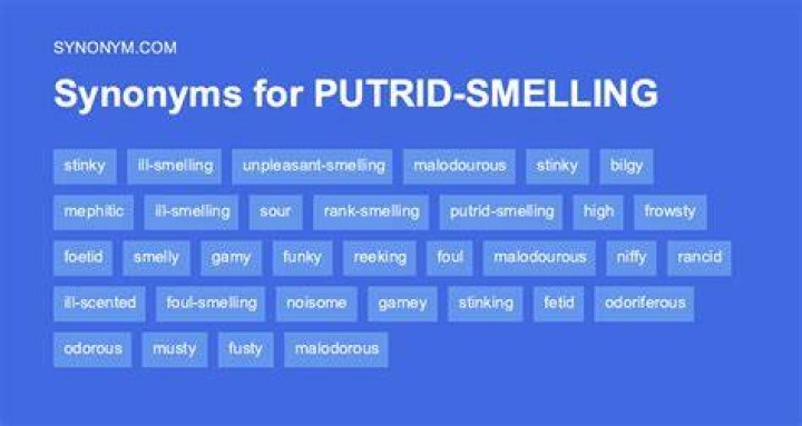 Is another word for putrid?
