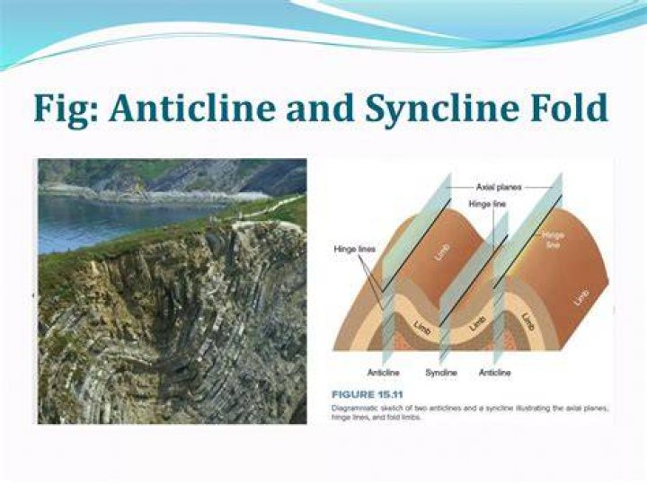 Is anticline a downwarped fold?