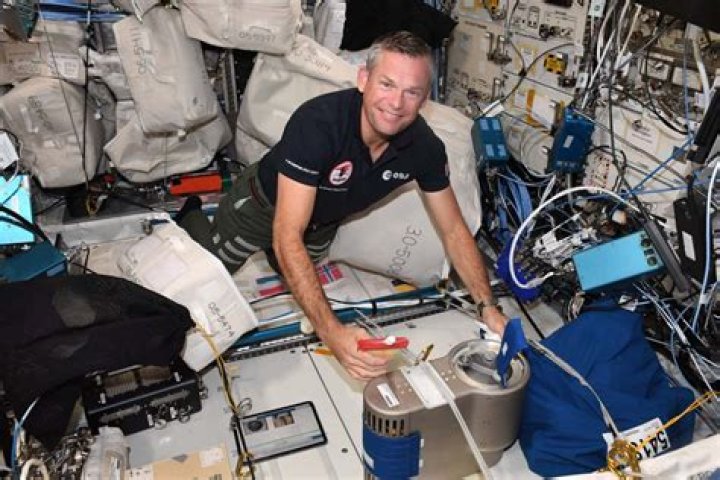 Is astronaut a scientist?