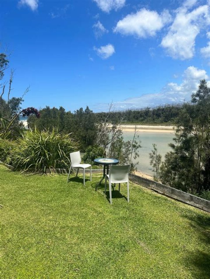 Is berrara beach dog friendly?