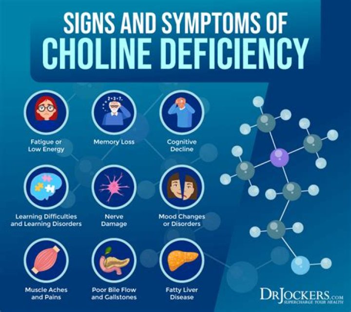 Is choline bad for you?