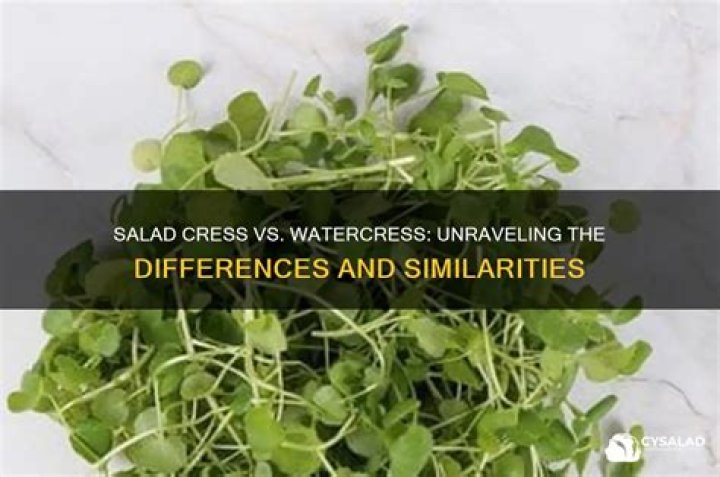 Is cress the same as watercress?