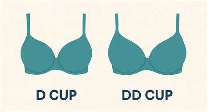 Is DD bra bigger than D?