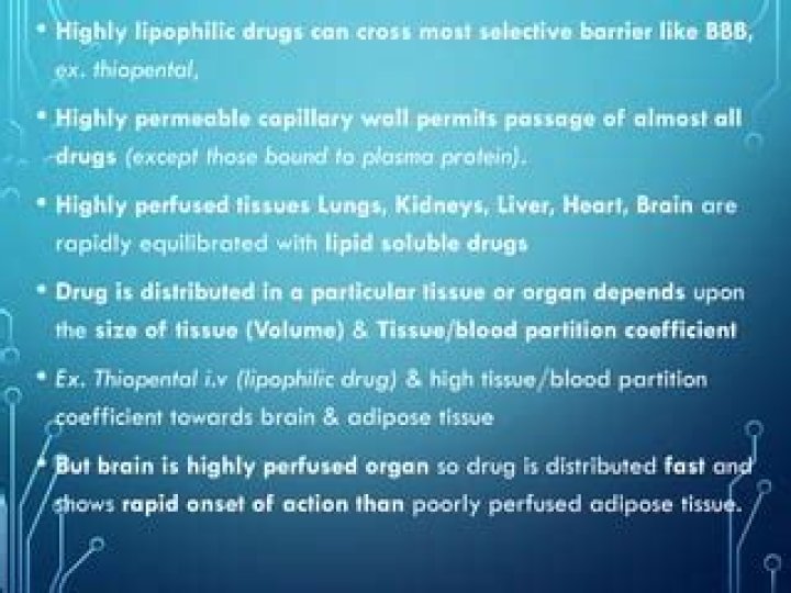 Is highly perfused organ?