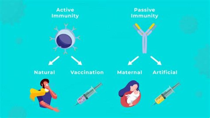 Is immunization active or passive?