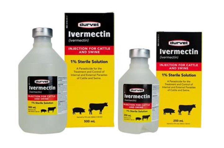 Is ivermectin for scabies?