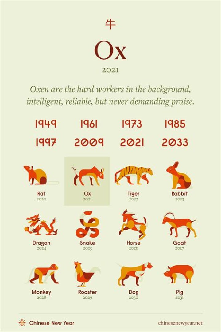 Is Pig Year good for ox?