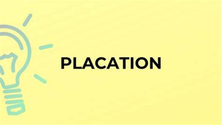 Is placation a word?
