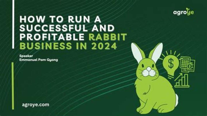 Is rabbit business profitable?