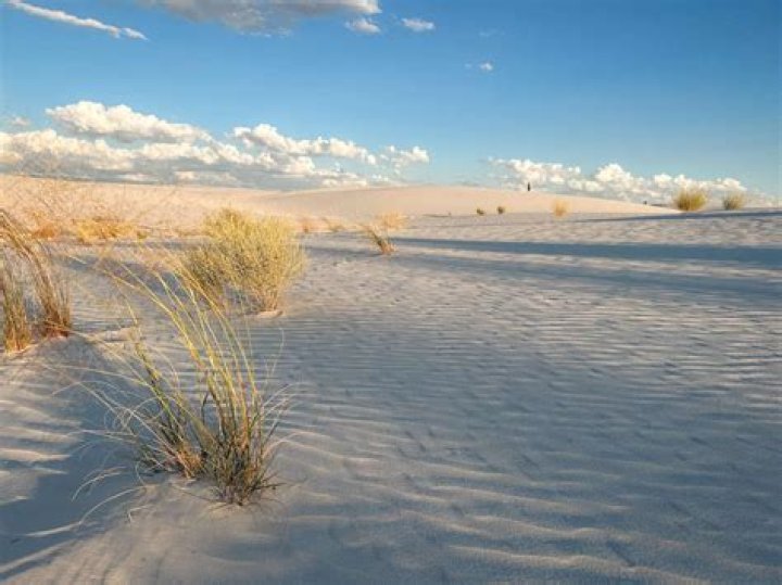 Is sand from White Sands illegal?