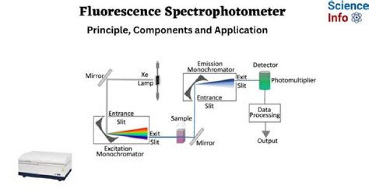 Is spectrofluorometer and spectrophotometer?