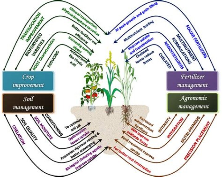 Is there a word agronomics?