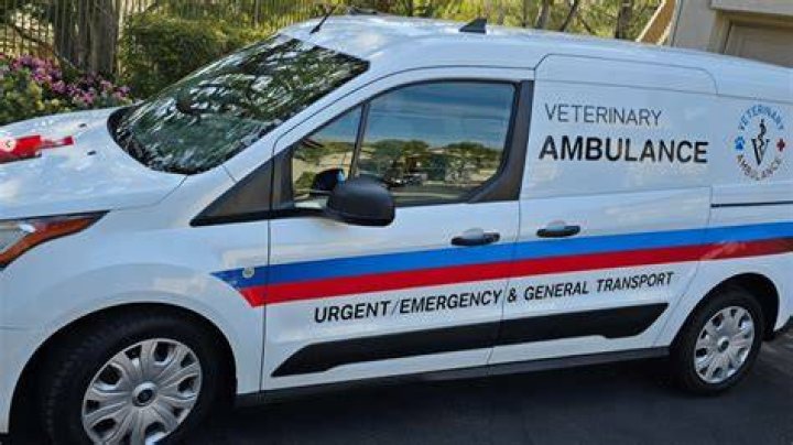 Is there dog ambulances?