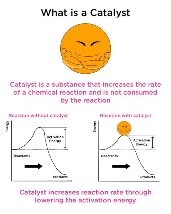 Is true about catalysts?