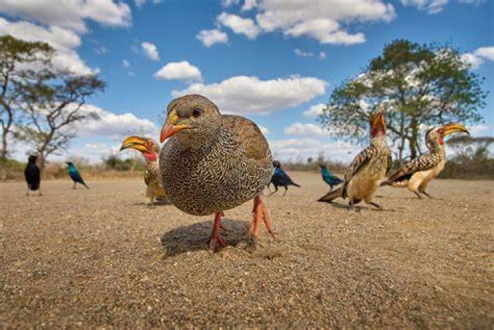 On a wide angle?