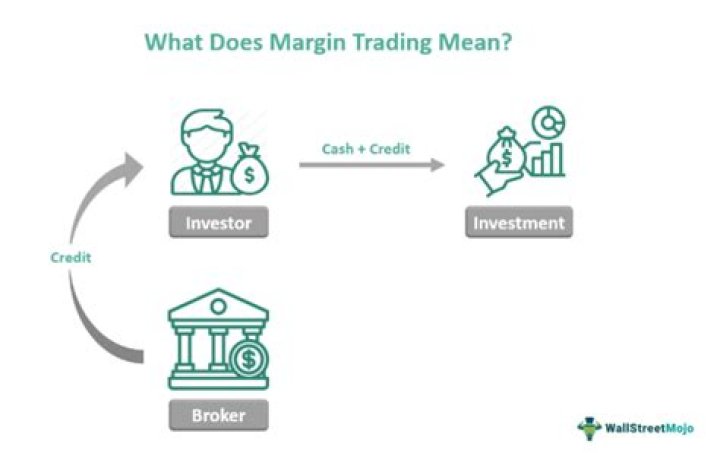 On the margin money?