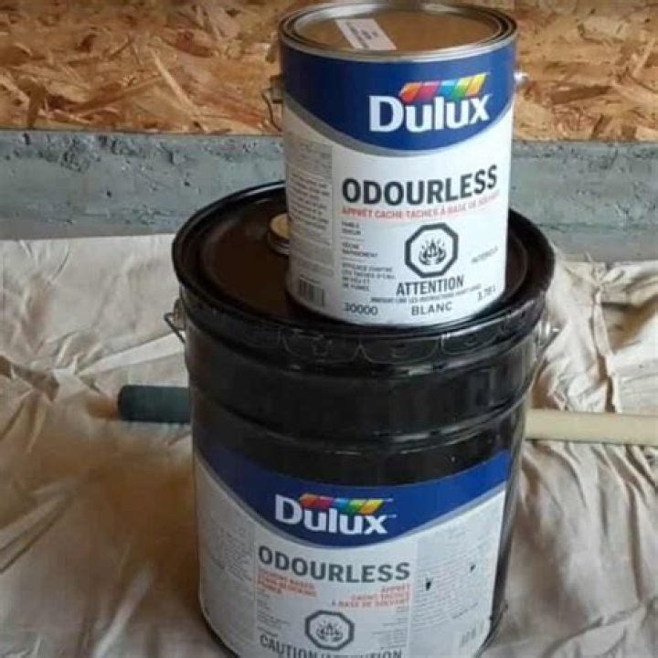 Should osb be painted?