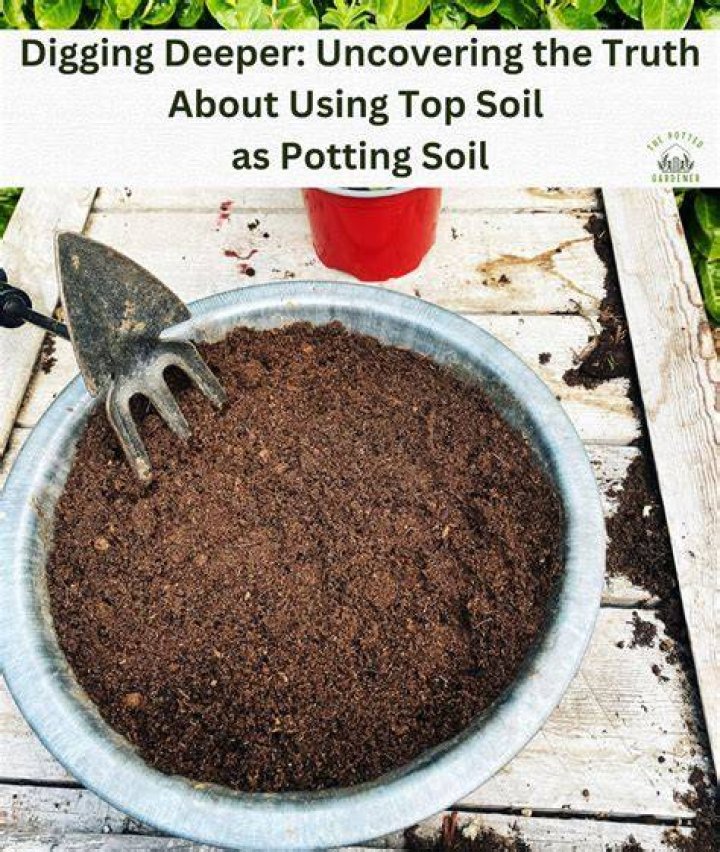Should potting soil be changed?