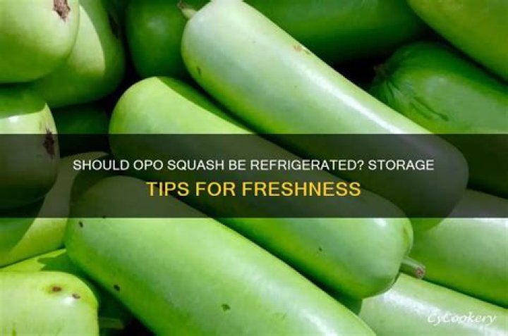 Should squash be refrigerated?
