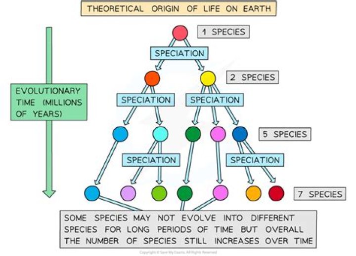Was does speciation mean?