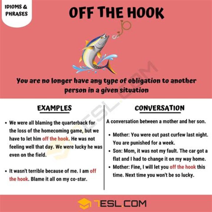 Was let off the hook meaning?