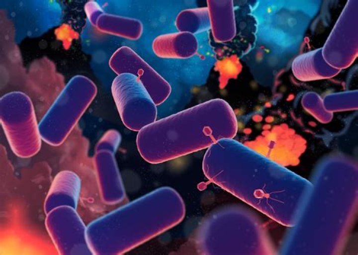 Was luca a prokaryote?