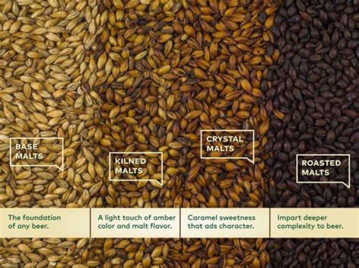 Were does malt come from?