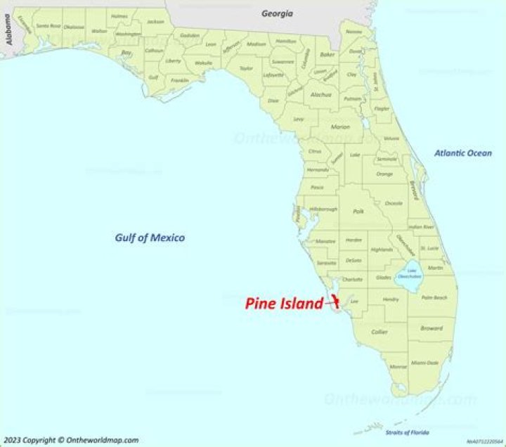 Were is pine island?