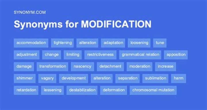 What's another word for modification?