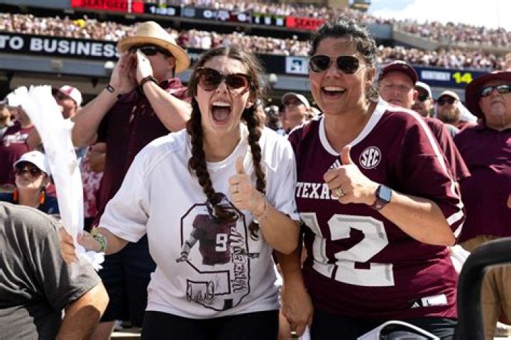 What Aggies mean?