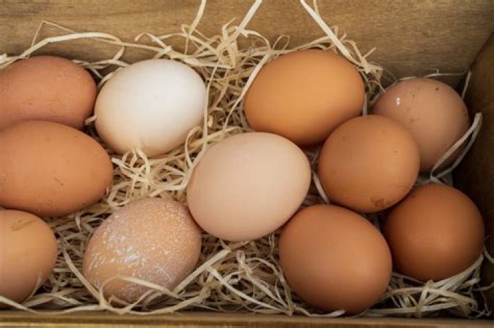 What are pastured eggs?