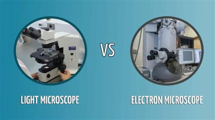 What are the differences between microscopy and photomicrography?