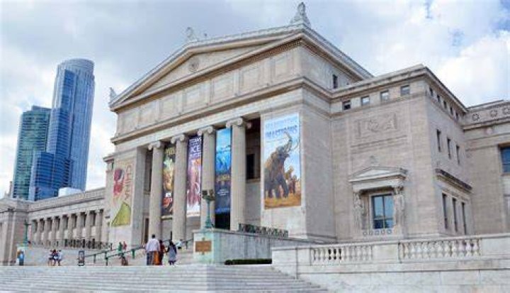 What chicago museums are open?