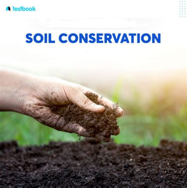 What do soil conservationists do?
