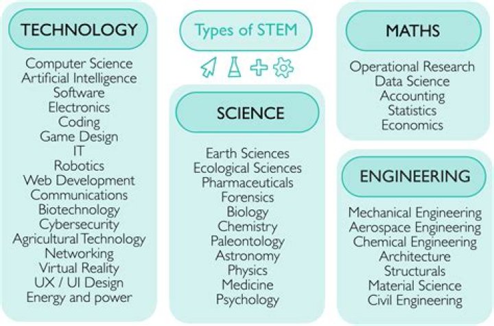 What do you study in STEM?