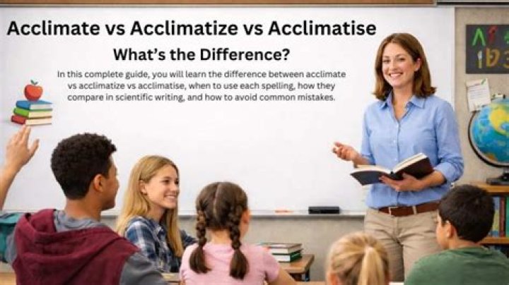 What does acclimatize mean?