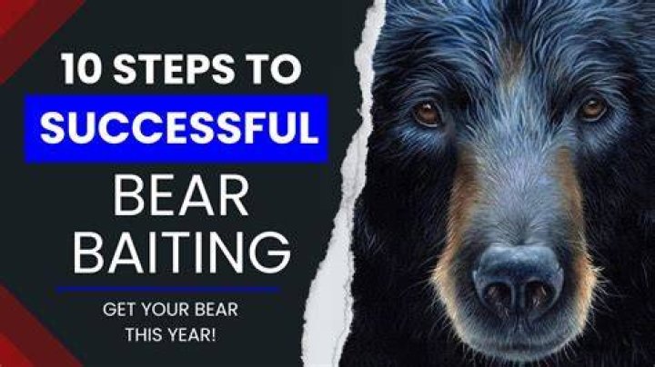 What does bear baiting?