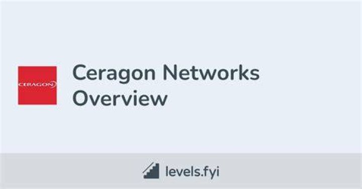 What does ceragon networks do?
