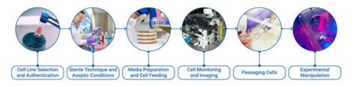 What does cytologists mean?