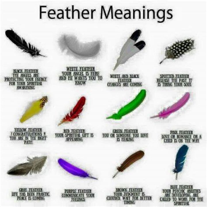 What does feather signify?
