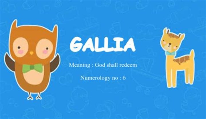 What does gallia mean?