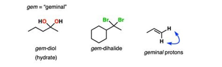 What does geminal mean?