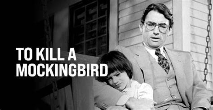 What does lineaments mean in to kill a mockingbird?