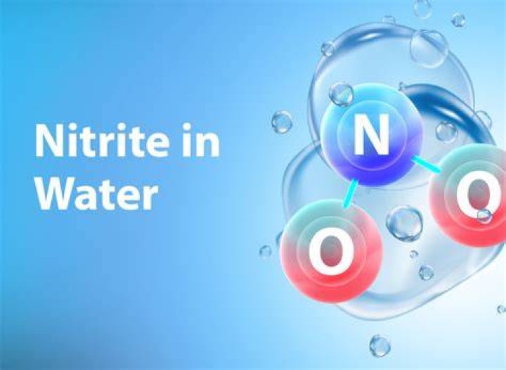 What does nitrite mean?