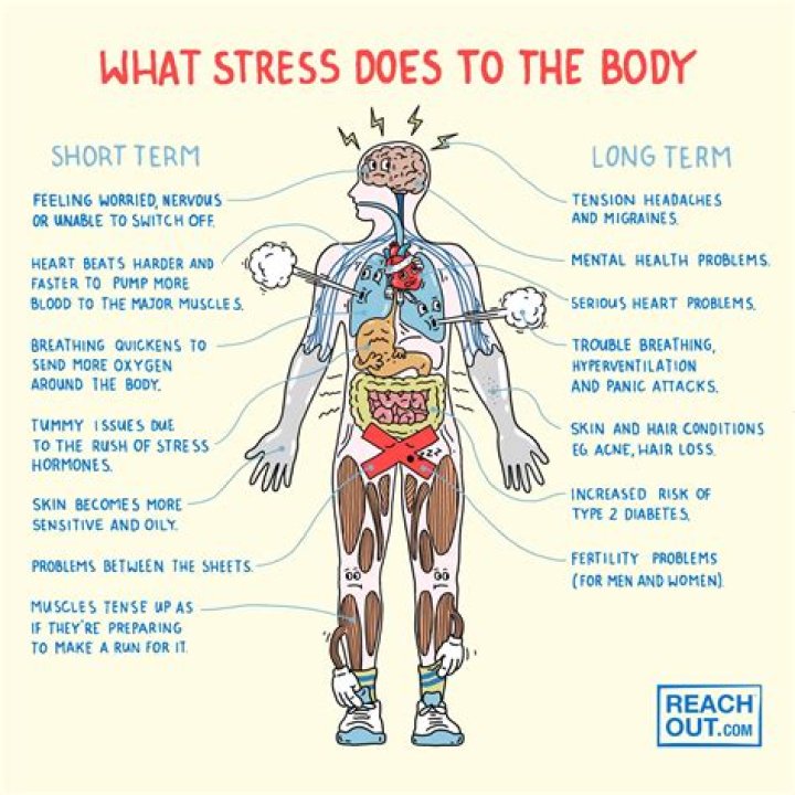 What does normal stress mean?